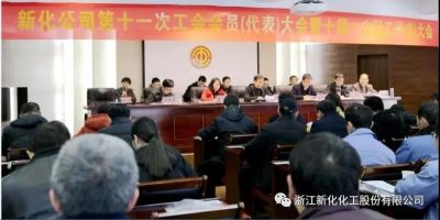 公司召开第十一次工会会员代表大会暨十届一次职工代表大会